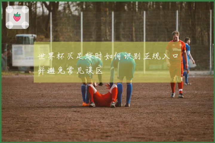 世界杯买足球时如何识别正规入口并避免常见误区
