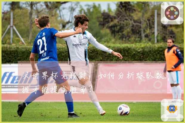 买世界杯竞猜时，如何分析球队数据才能提高胜率？