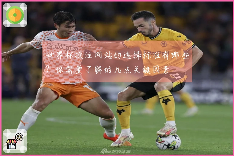 世界杯投注网站的选择标准有哪些？你需要了解的几点关键因素