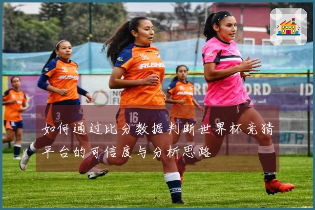 如何通过比分数据判断世界杯竞猜平台的可信度与分析思路