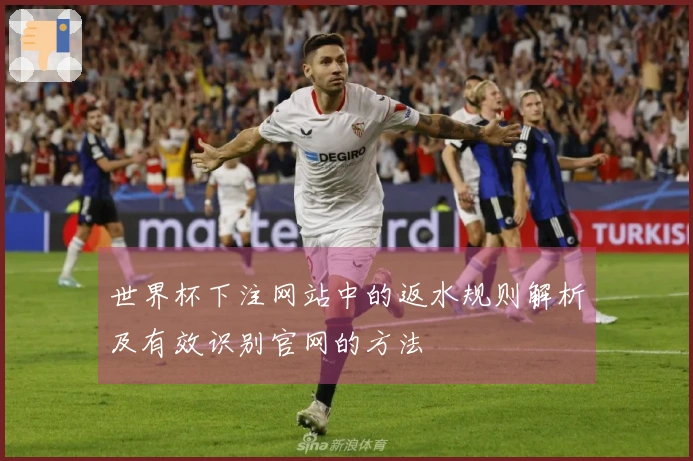 世界杯下注网站中的返水规则解析及有效识别官网的方法