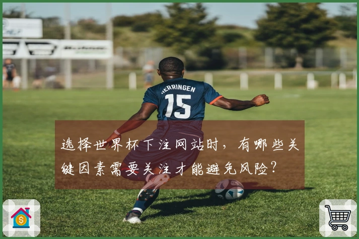 选择世界杯下注网站时，有哪些关键因素需要关注才能避免风险？