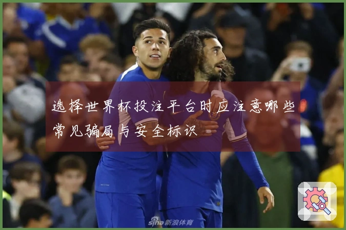 选择世界杯投注平台时应注意哪些常见骗局与安全标识