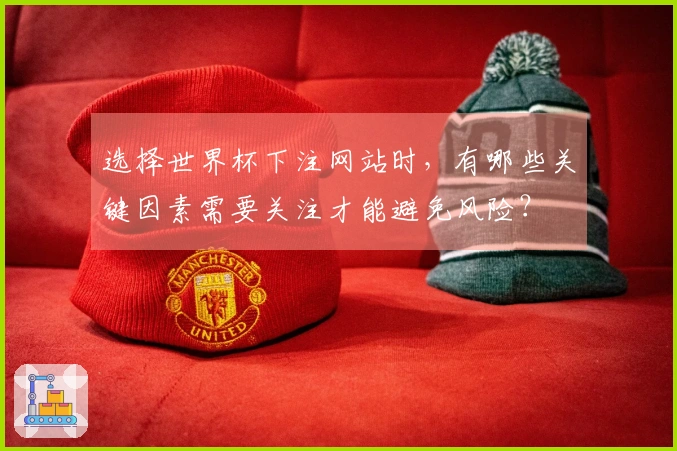 选择世界杯下注网站时，有哪些关键因素需要关注才能避免风险？