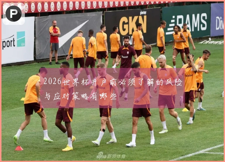 2026世界杯开户前必须了解的风险与应对策略有哪些