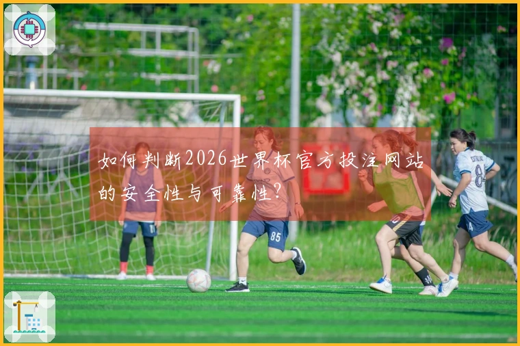 如何判断2026世界杯官方投注网站的安全性与可靠性？