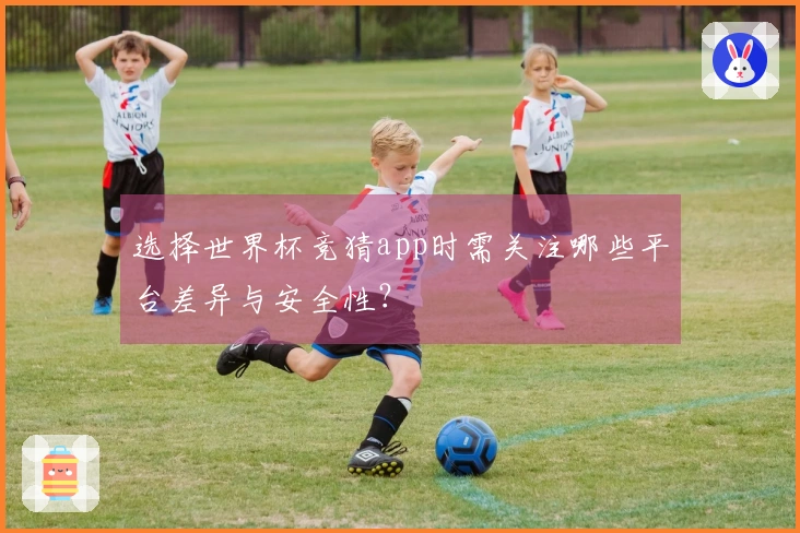 选择世界杯竞猜app时需关注哪些平台差异与安全性？