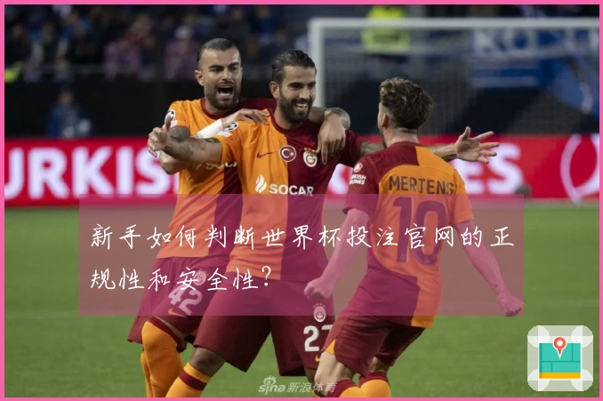 新手如何判断世界杯投注官网的正规性和安全性？
