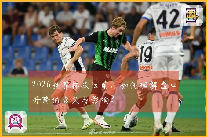 2026世界杯投注前，如何理解盘口升降的含义与影响？