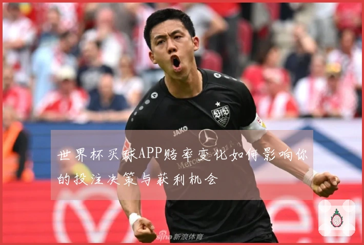 世界杯买球APP赔率变化如何影响你的投注决策与获利机会