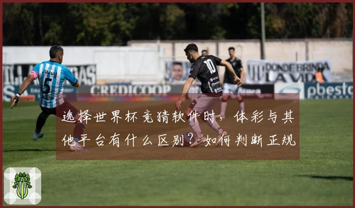 选择世界杯竞猜软件时，体彩与其他平台有什么区别？如何判断正规性？