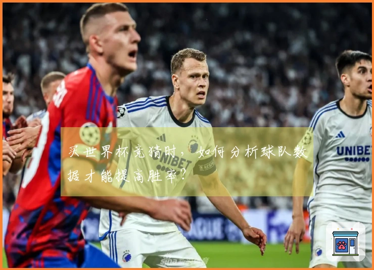 买世界杯竞猜时，如何分析球队数据才能提高胜率？