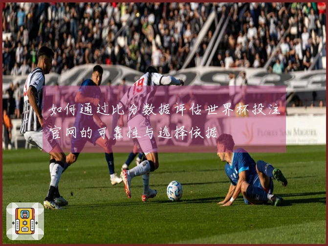 如何通过比分数据评估世界杯投注官网的可靠性与选择依据
