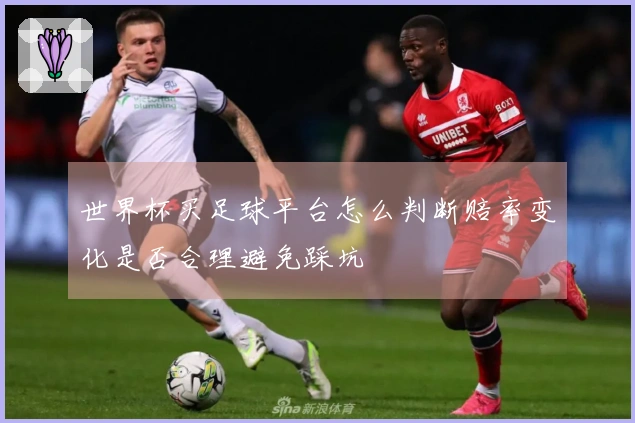 世界杯买足球平台怎么判断赔率变化是否合理避免踩坑