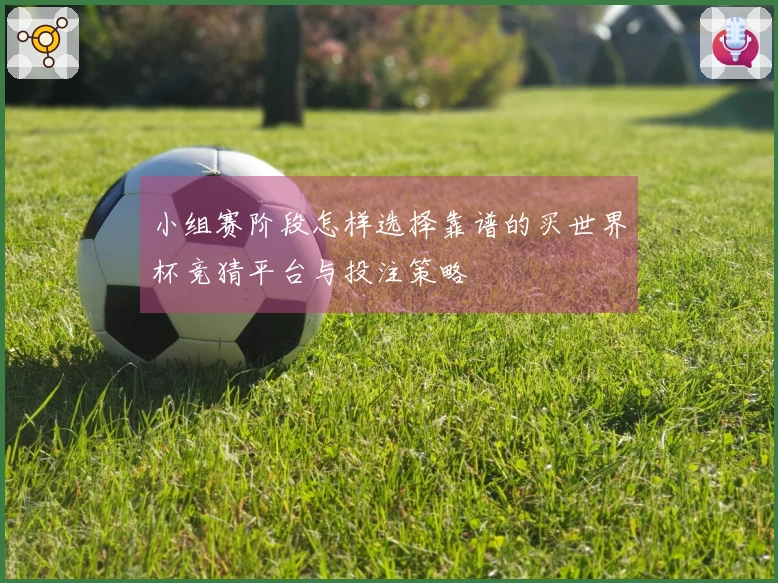 小组赛阶段怎样选择靠谱的买世界杯竞猜平台与投注策略