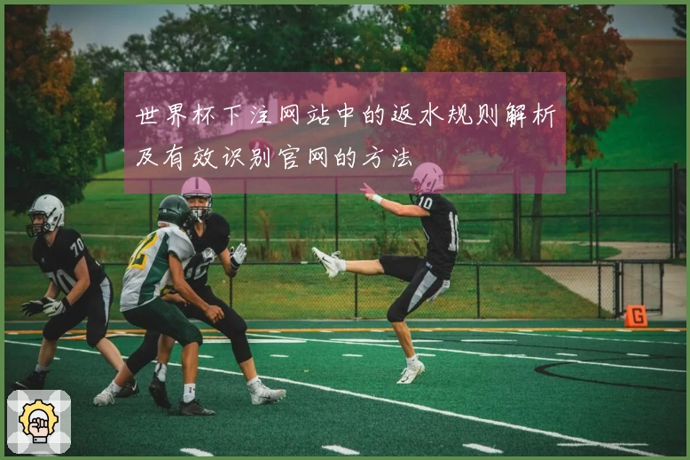 世界杯下注网站中的返水规则解析及有效识别官网的方法