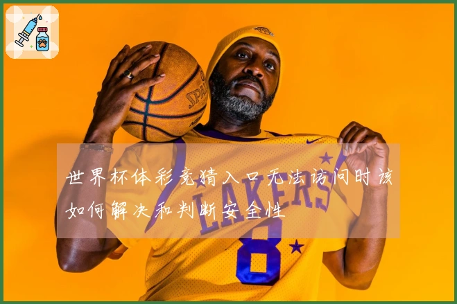 世界杯体彩竞猜入口无法访问时该如何解决和判断安全性