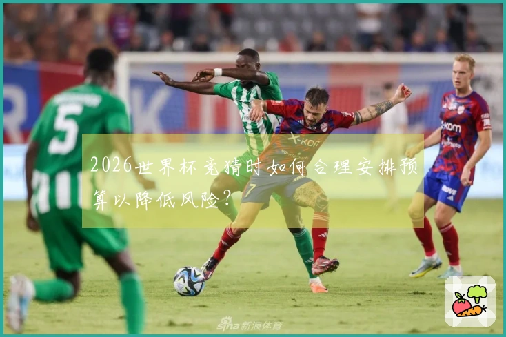 2026世界杯竞猜时如何合理安排预算以降低风险？