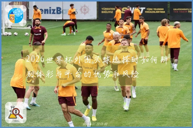 2026世界杯外围买球选择时如何辨别体彩与平台的优势和风险