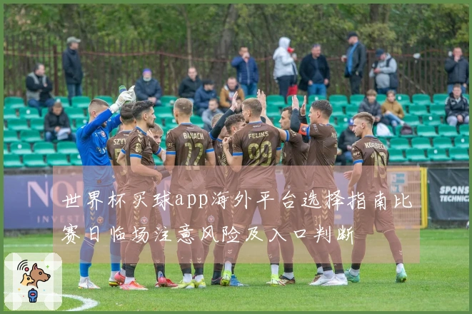 世界杯买球app海外平台选择指南比赛日临场注意风险及入口判断
